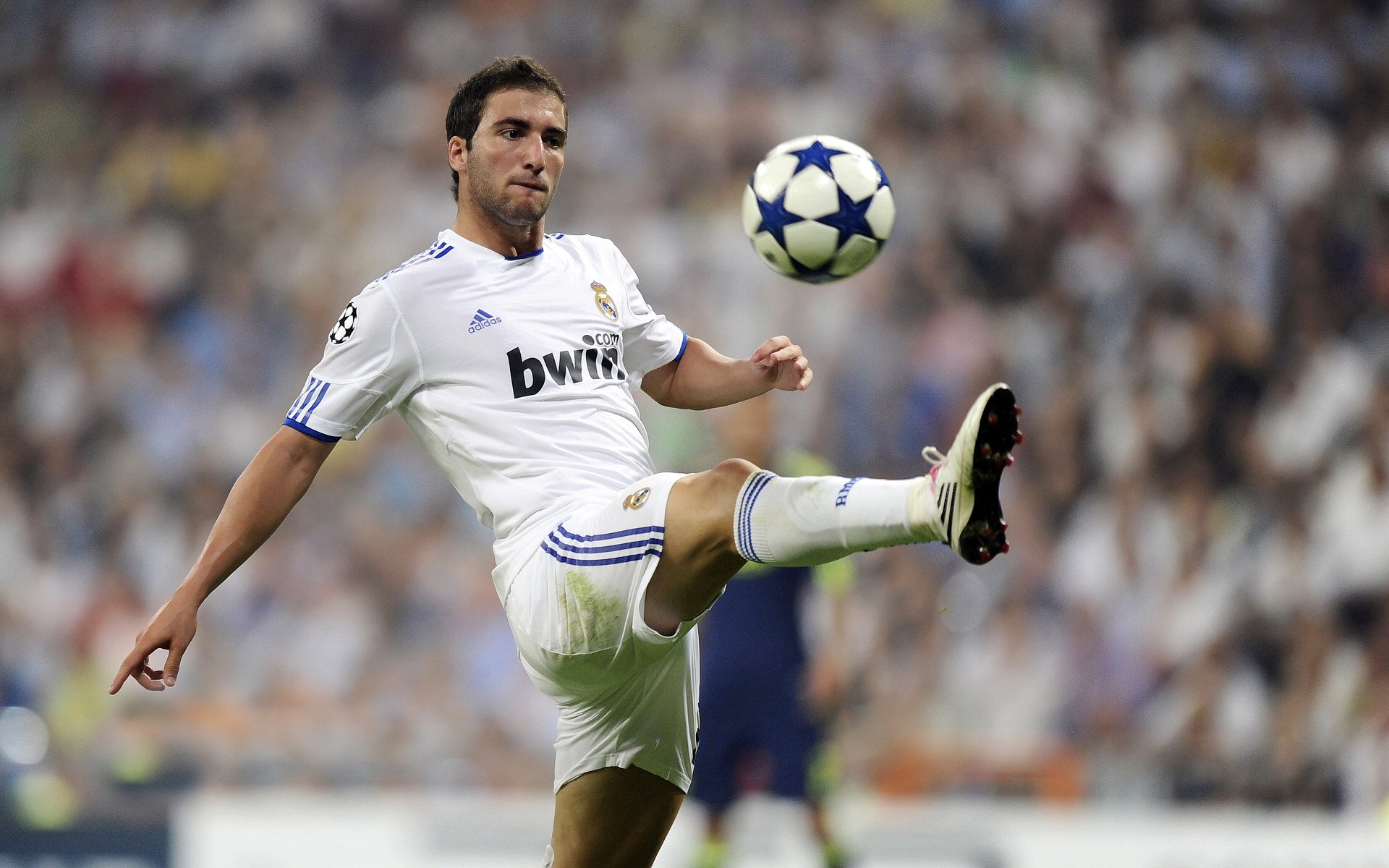 包含大奖赛最新形势：热刺高居榜首，上海海港强势追赶，冠军归属成迷的词条